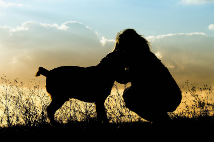 The silhouette of a girl and her dog against an evening sky